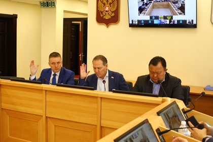 Комитет по здравоохранению и социальной защите продолжит рассмотрение отчета о работе правительства области за 2020 год